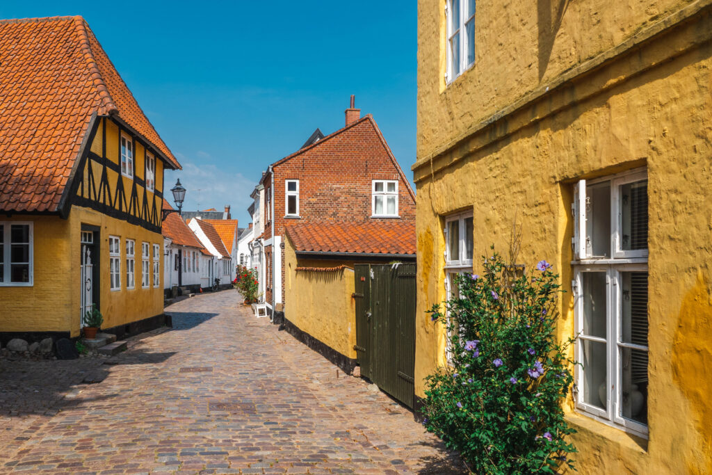 Een afbeelding van een staat in Ribe Denemarken met een oude weg en gele huizen