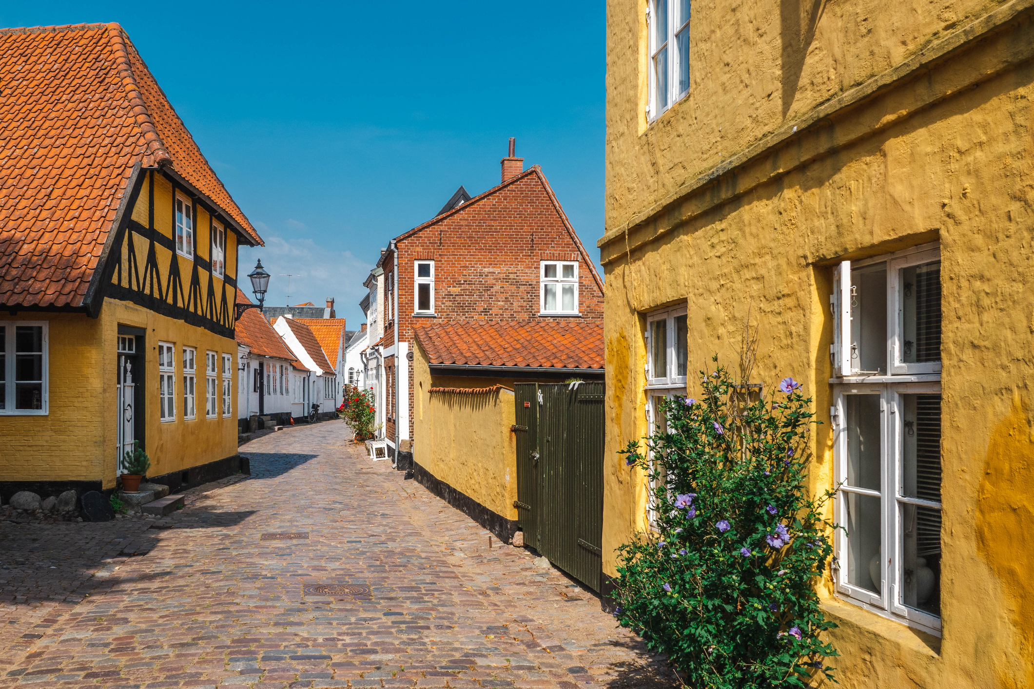 Een afbeelding van een staat in Ribe Denemarken met een oude weg en gele huizen