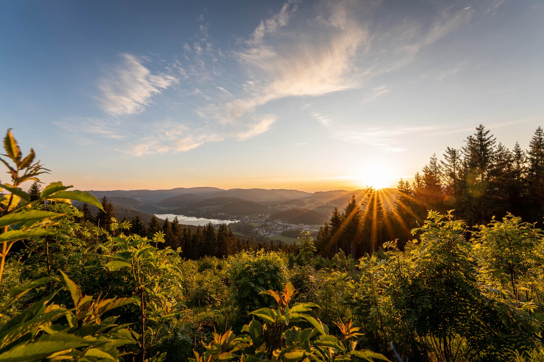 Ardennen natuur in Belgie
