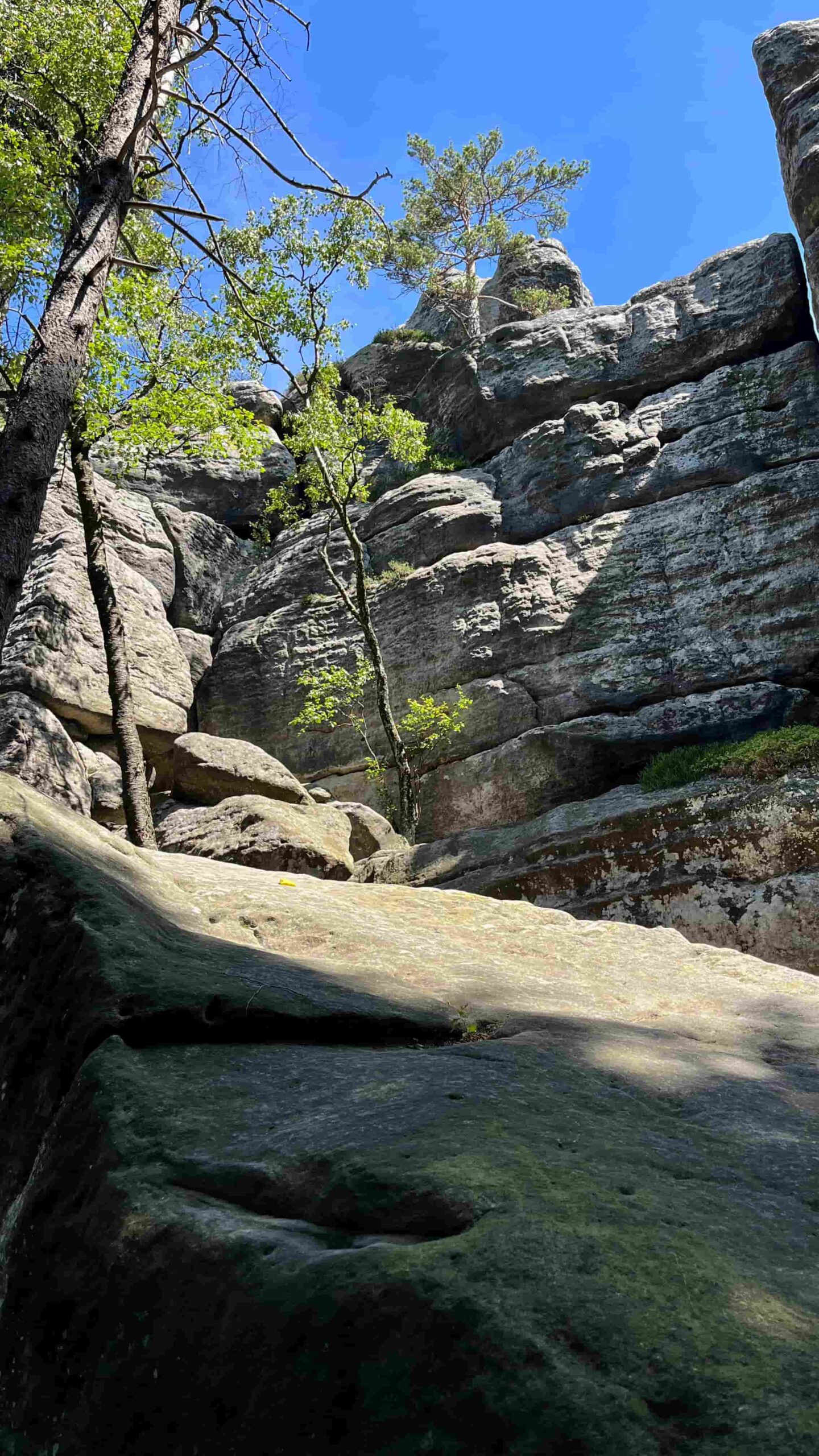 Table Mountains National Park