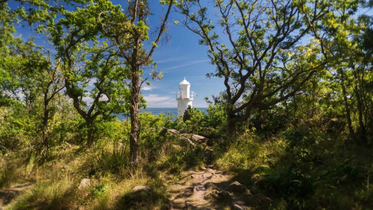White Lighthouse behind trees in Swedish Stenshuvud National Park