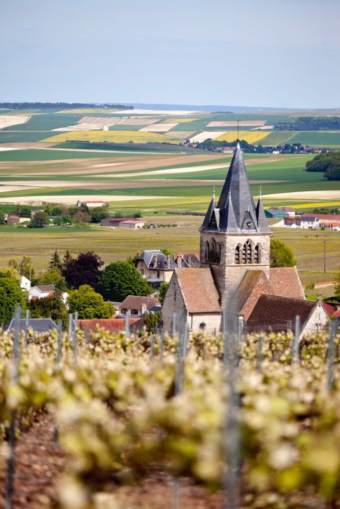 Omgeving Reims