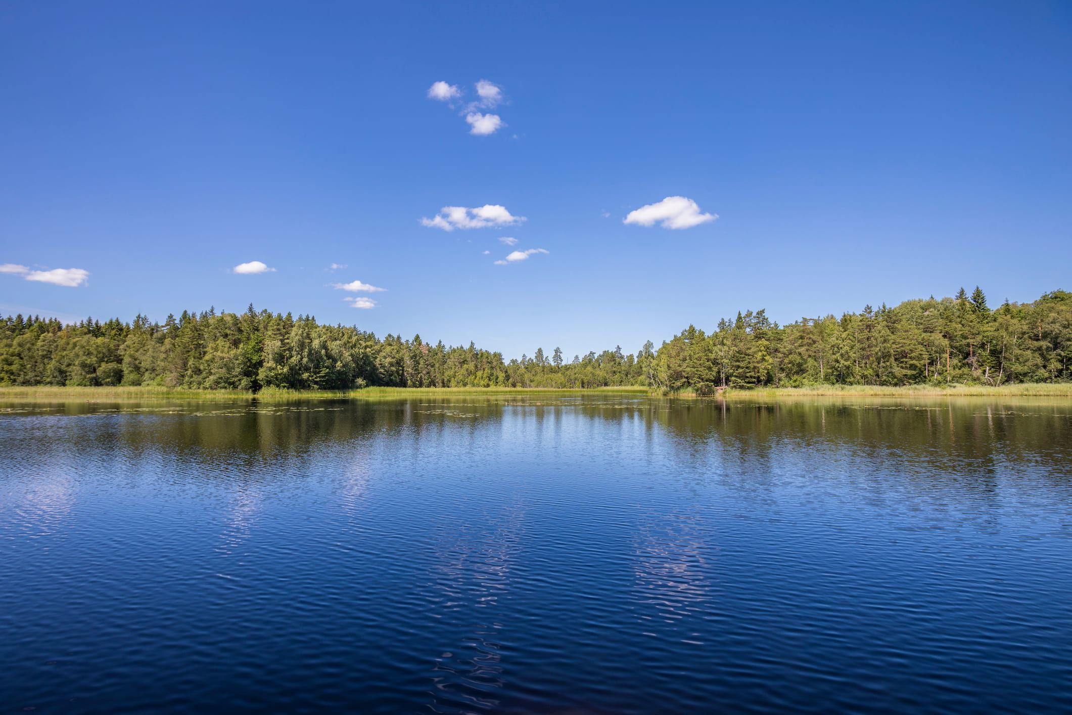 Söderåsen National Park
