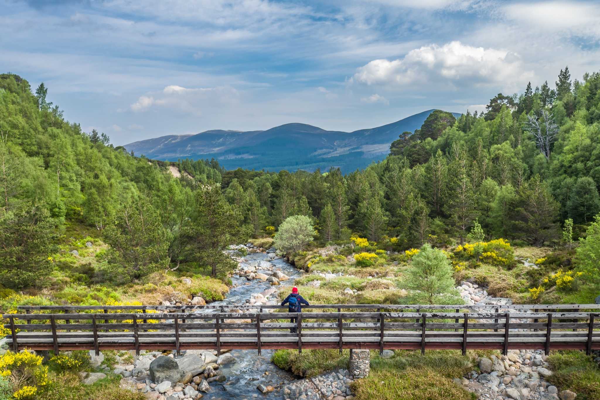 cairngorm national park